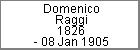 Domenico Raggi