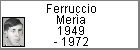 Ferruccio Mer�a